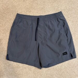 Hollister Gray Casual Shorts